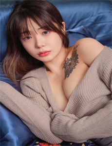 宠物的秘密生活